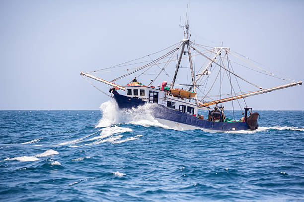 barca per pesca di gamberetti - barca per pesca di gamberetti foto e immagini stock