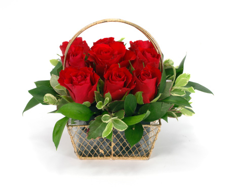 Red rose arrangement in gold basket for valentines or christmas usage, isolated on white.