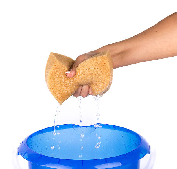 Hand Squeezing Sponge Into Bucket on white background Hand Squeezing Sponge Into Bucket on white background bucket and sponge stock pictures, royalty-free photos & images