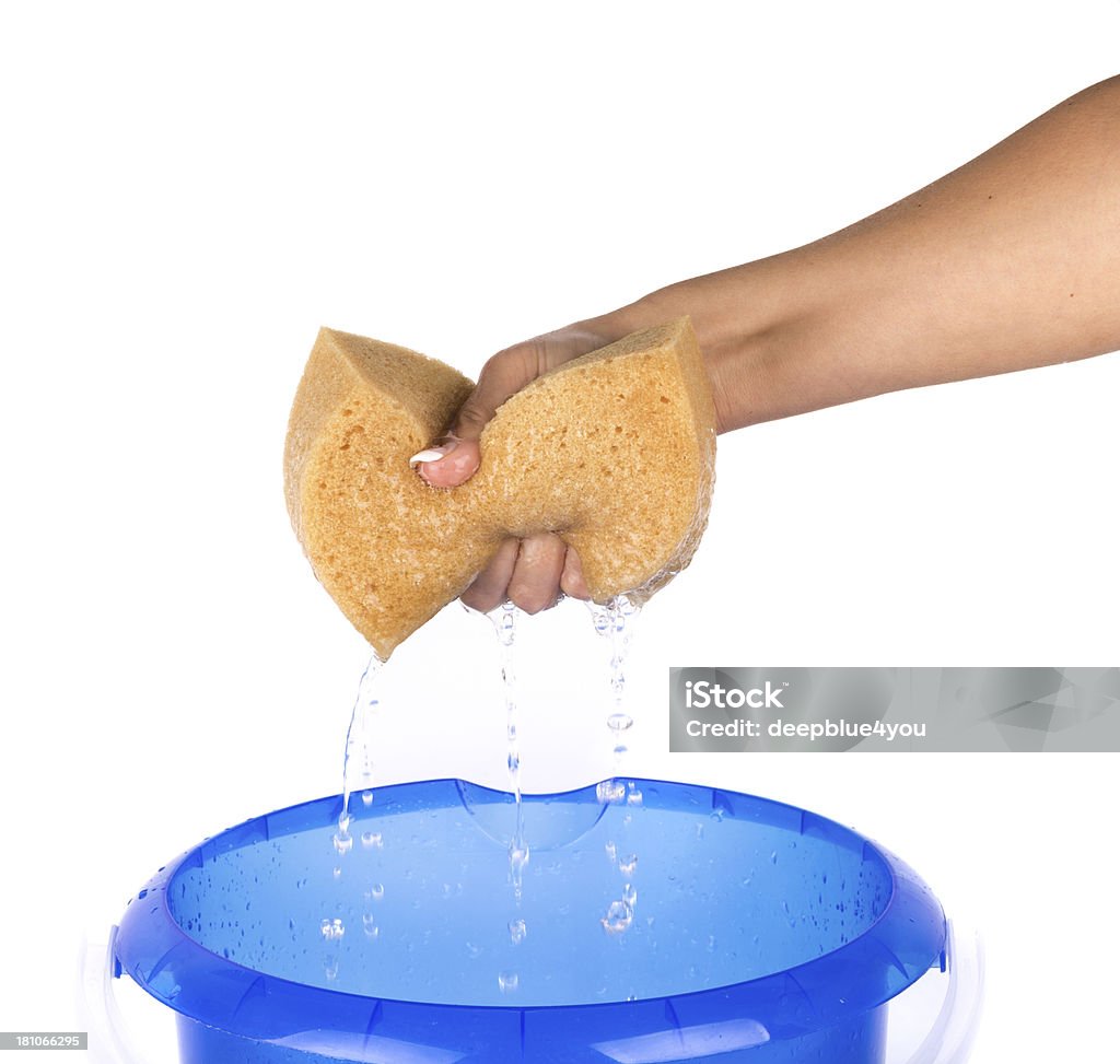 Mão apertar esponja no balde no fundo branco - Royalty-free Esponja - Artigo de Higiene Pessoal Foto de stock