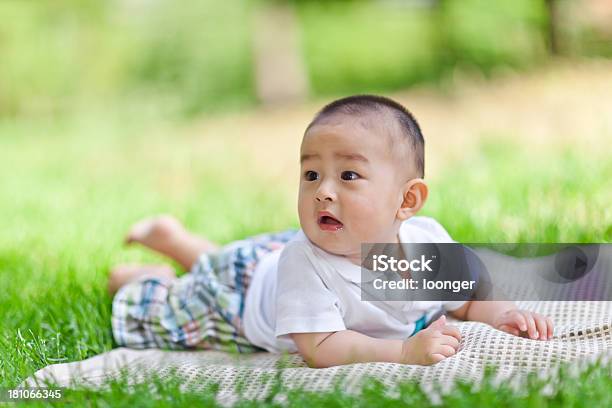 甘いアジア Little Baby Boy はうの芝生 - 1歳未満のストックフォトや画像を多数ご用意 - 1歳未満, まぶしい, アジアおよびインド民族