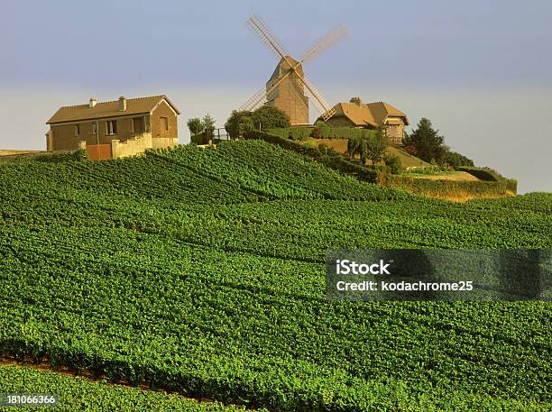 Foto de Champanhe e mais fotos de stock de Região de Champagne - Região de Champagne, Champanhe, Epernay