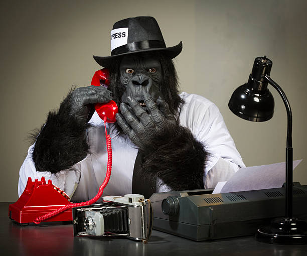 360+ Maskot Photographer Stock Photos, Pictures & RoyaltyFree Images