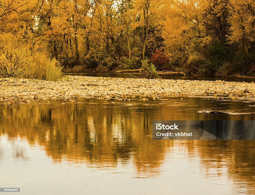 Río Boise otoño - Foto de stock de Agua libre de derechos