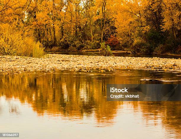 Fiume Boise Autunno - Fotografie stock e altre immagini di Acqua - Acqua, Acqua fluente, Albero