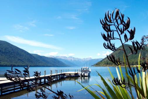 Looking down the pier to the distant Sabine Ranges at Lake Rotoroa, Nelson Lakes National Park, NZ. In focus at the front is a New Zealand Flax Plant.