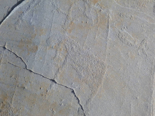 istock Alta rock carvings 1810669911