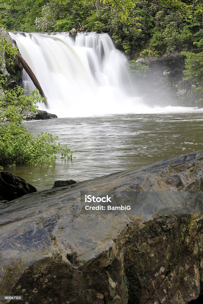 cascade - Photo de Arbre libre de droits