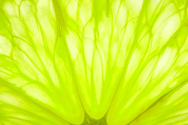 Slice of lime stock photo