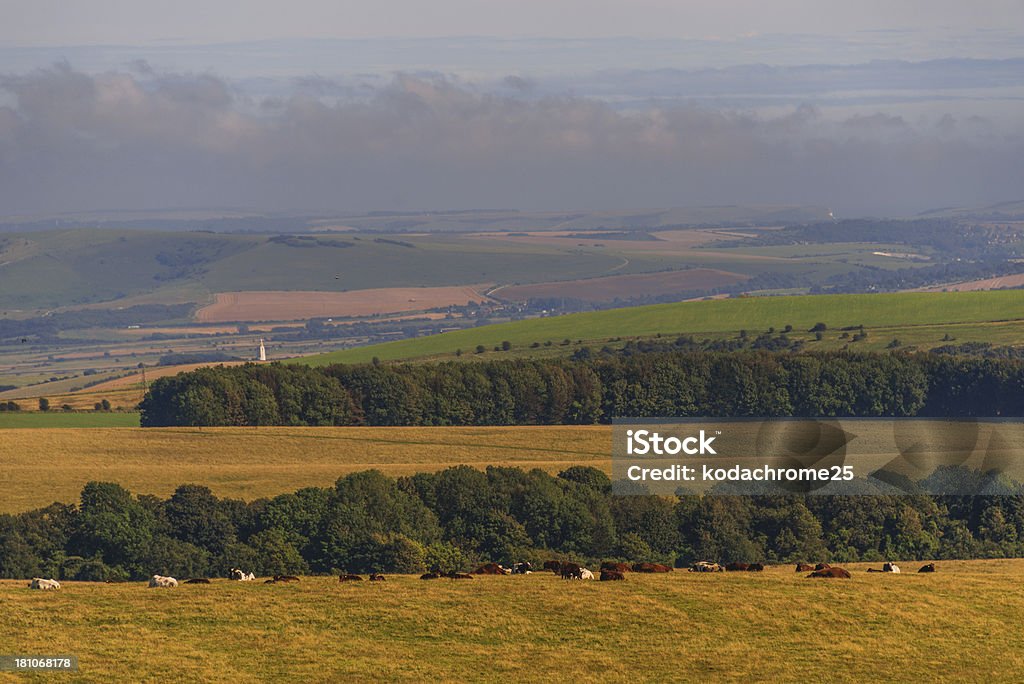 south downs - Foto stock royalty-free di Agricoltura