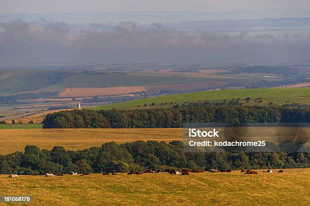 South Downs - Fotografie stock e altre immagini di Agricoltura - Agricoltura, Ambientazione esterna, Ambientazione tranquilla