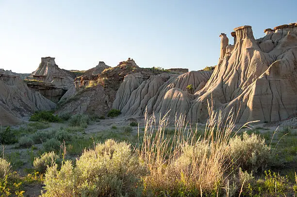 Photo of Dinosaur Provinical Park