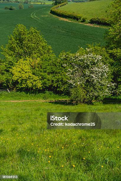 Warwickshire Campagna - Fotografie stock e altre immagini di Agricoltura - Agricoltura, Ambiente, Brughiera