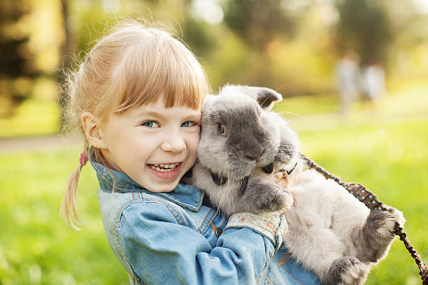 Little girl hugs a rabbit stock photo