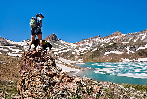 Hiker and Dog Standing on a Rock at Ice Lake The San Juans in southern Colorado are a high altitude range of mountains that straddle the Continental Divide. This wide-open landscape, at 12,300, is well above timberline. The young woman and her dog were photographed at Upper Ice Lake in the San Juan National Forest near Silverton, Colorado, USA. jeff goulden domestic animal stock pictures, royalty-free photos & images