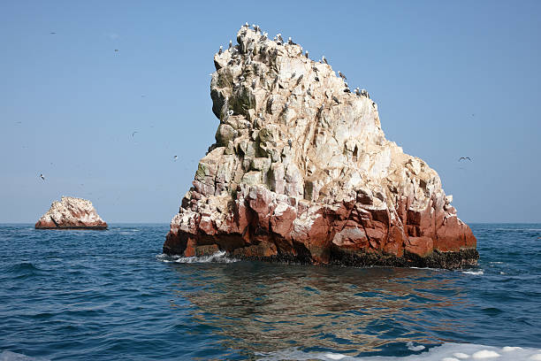 Birds perched on a rock in the Ballestas Islands