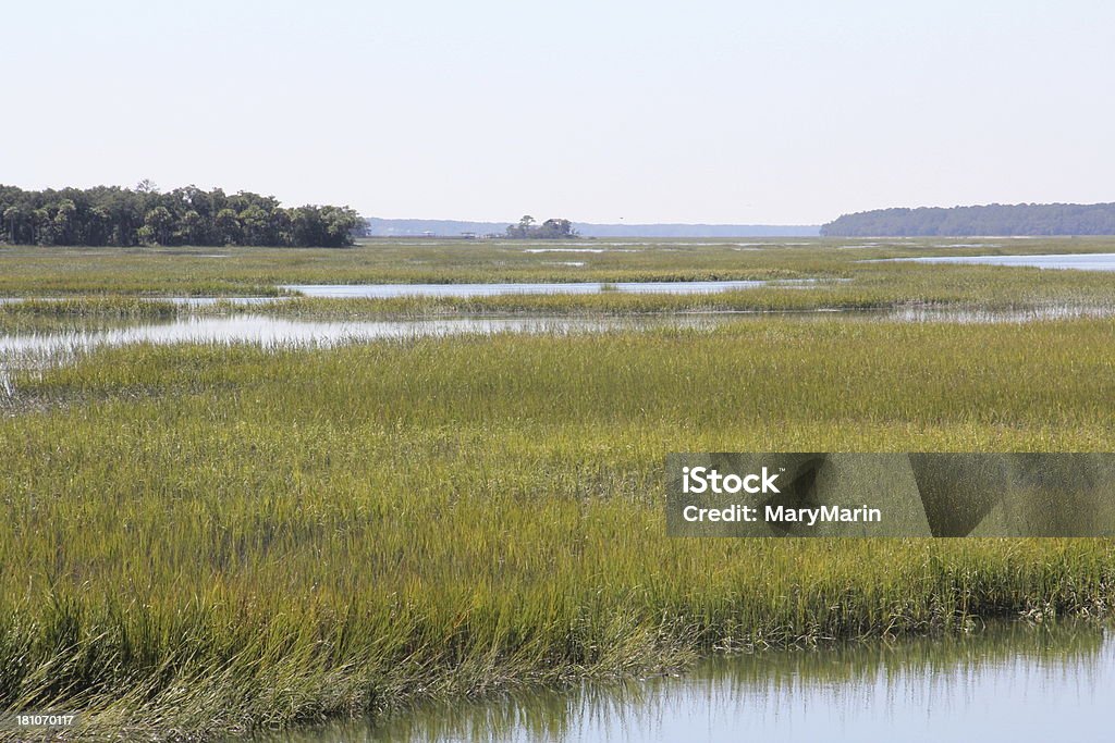 Marshes of North Carolina Typical marsh scene along the coast of North and South Carolina and the Outer Banks. Savannah. Beaufort, Cape Hatteras, etc. (This exact area is a boatride away from Beaufort.) Marsh Stock Photo