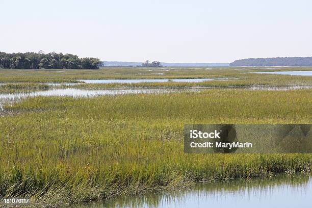Marshes Of North Carolina Stock Photo - Download Image Now - Marsh, Savannah - Georgia, North Carolina - US State