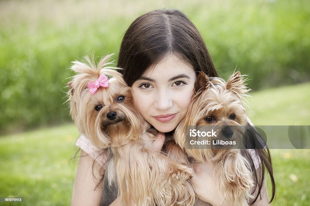 Teenage girl hugging her Yorkshire Terrier dogs Teenage girl hugging Yorkshire Terrier dogs Yorkshire Terrier Stock Photo