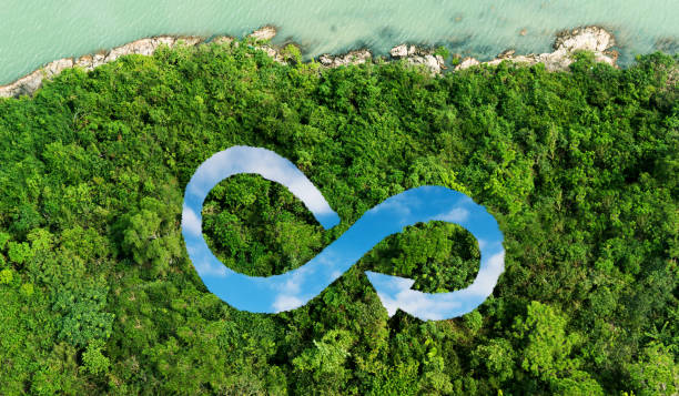 istock Circular economy symbol above forest 1810706244
