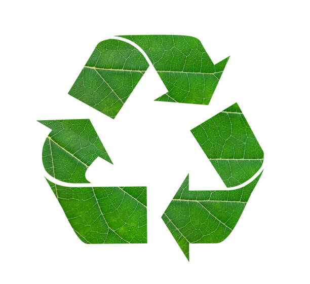 istock Recycling symbol made of green leaf on white background 1810706751