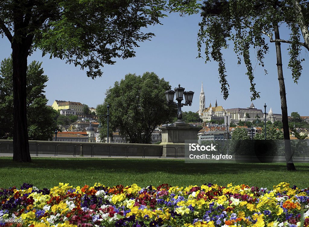 Budapest paesaggio urbano con Chiesa di Mattia - Foto stock royalty-free di Ambientazione esterna