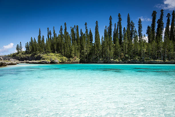 Tropical Beach Paradise, Isle of Pines, New Caledonia Tropical Beach Paradise on Isle of Pines in New Caledonia (ile des pins). The weather is nice and sunny with few clouds and crystal clear water.  new caledonia stock pictures, royalty-free photos & images