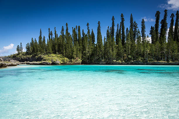 Praia Tropical Paradise, Isle of Pines, Nova Caledônia - foto de acervo