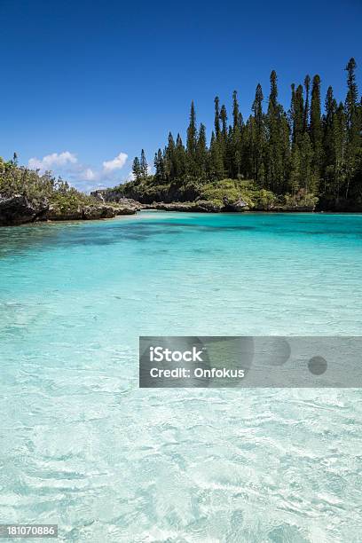 Spiaggia Tropicale Paradisiaca Isola Dei Pini Nuova Caledonia - Fotografie stock e altre immagini di Acqua