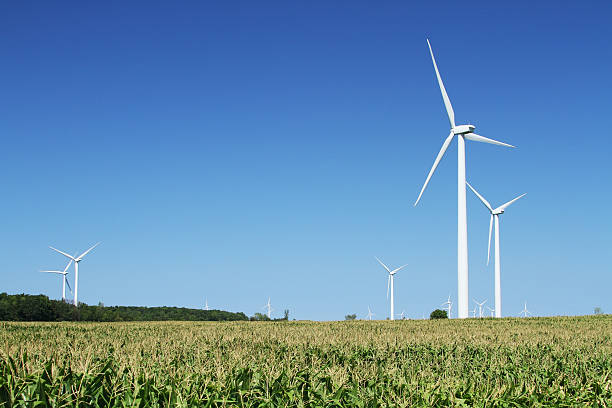 Windmill farm, corn field. Wind Turbine Electricity Power Generator. Michigan. stock photo