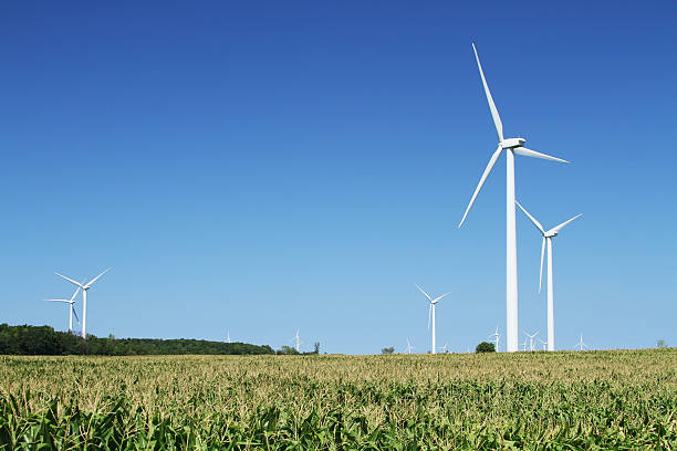 Windmill farm, corn field. Wind Turbine Electricity Power Generator. Michigan. "Windmill farm above corn field. A farmers alternate income source. New Greenleaf, Cass City, Michigan, United States. Electric power generation by wind." michigan farmland stock pictures, royalty-free photos & images