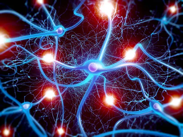 Photo of Neuron cells