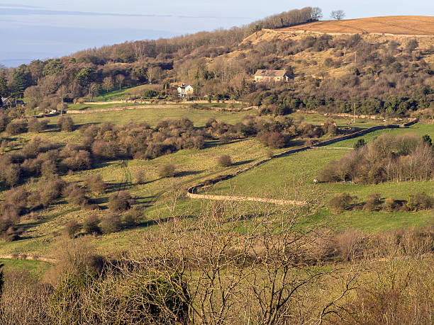 cleeve hill - hill cotswold grass moor photos et images de collection