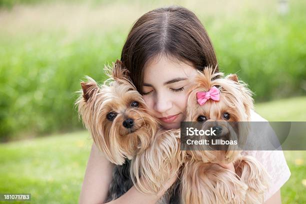 ハング 10 代の女の子の彼女のヨークシャーテリア犬 - ヨークシャーテリアのストックフォトや画像を多数ご用意 - ヨークシャーテリア, ピンク色, 少女