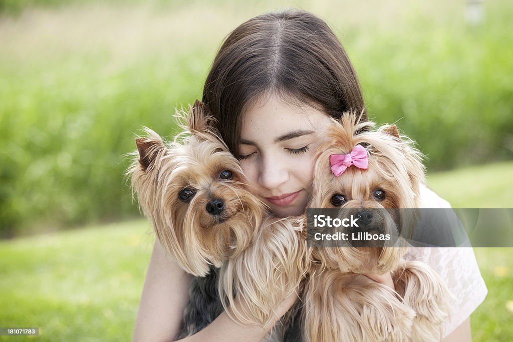 Menina adolescente Agarrar os cães Yorkshire Terrier - Royalty-free Yorkshire Terrier Foto de stock