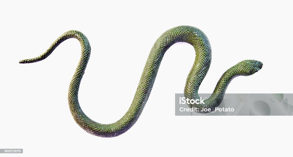 Fakey Snakey Fake green rubber snake. Horizontal. Artificial Stock Photo