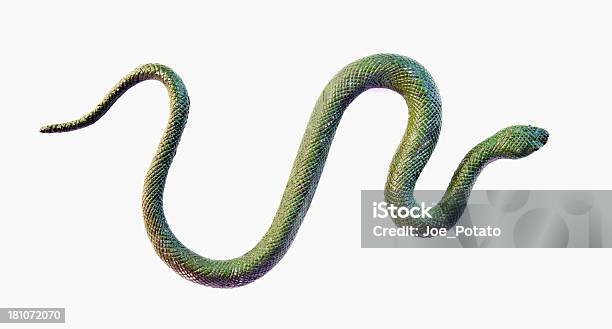 Fakey Snakey Stock Photo - Download Image Now - Artificial, Green Color, Horizontal