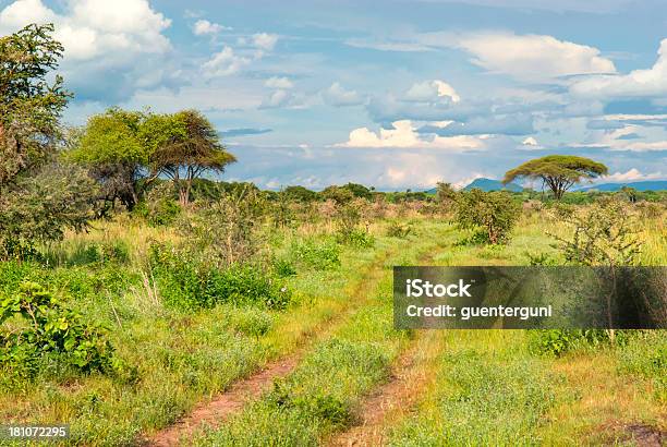 Typische Offroad Piste In Ländlichen Afrika Stockfoto und mehr Bilder von Burundi - Ostafrika - Burundi - Ostafrika, Demokratische Republik Kongo, Landschaft