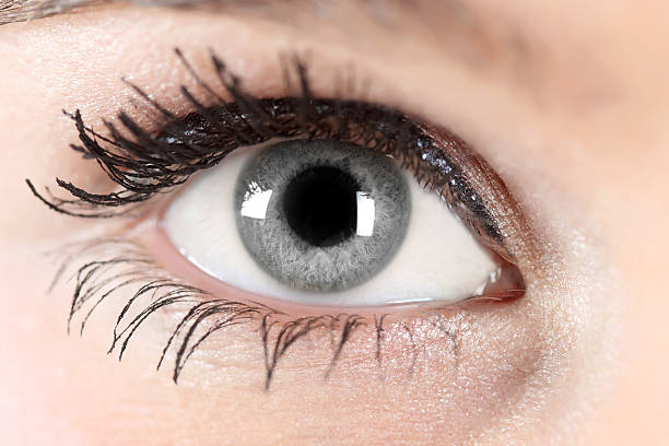 серые глаза - reflection women human eye macro стоковые фото и изображения
