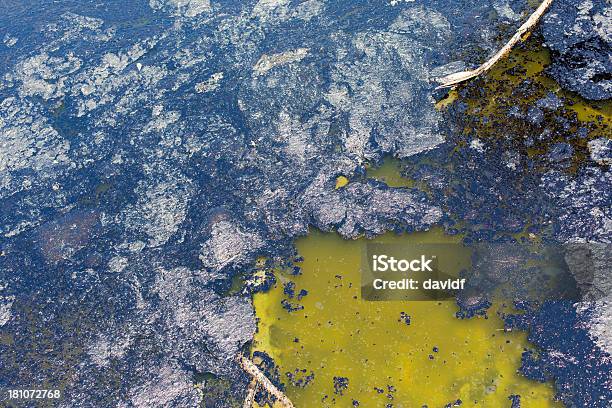 Acqua Inquinata Pond - Fotografie stock e altre immagini di Chiazza di petrolio - Chiazza di petrolio, La Brea Tar Pits, Asfalto