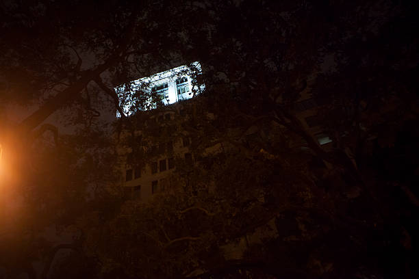 mirando-hacia-arriba-thorugh-la-live-oaks.jpg?s=612x612&w=0&k=20&c=VZeYMNICqNoelVob5JqEA2EGtvlv2EZ8wkIUswiIiZI=