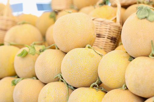 Fresh ripe honey juicy melon in market. Healthy eating benefits of fruits and vegetarian food concept