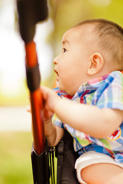 istock Baby boy in Stroller on the lawn 181073557