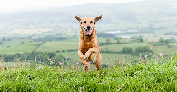 istock On top of the world... 181073926