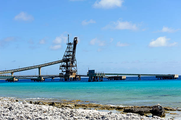 istock saltplain on the island of bonaire 181074254