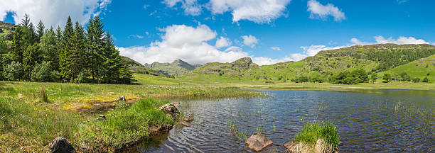 идиллический горных лугах мирный летний tarn озёрный край камбрия - panoramic langdale pikes english lake district cumbria стоковые фото и изображения