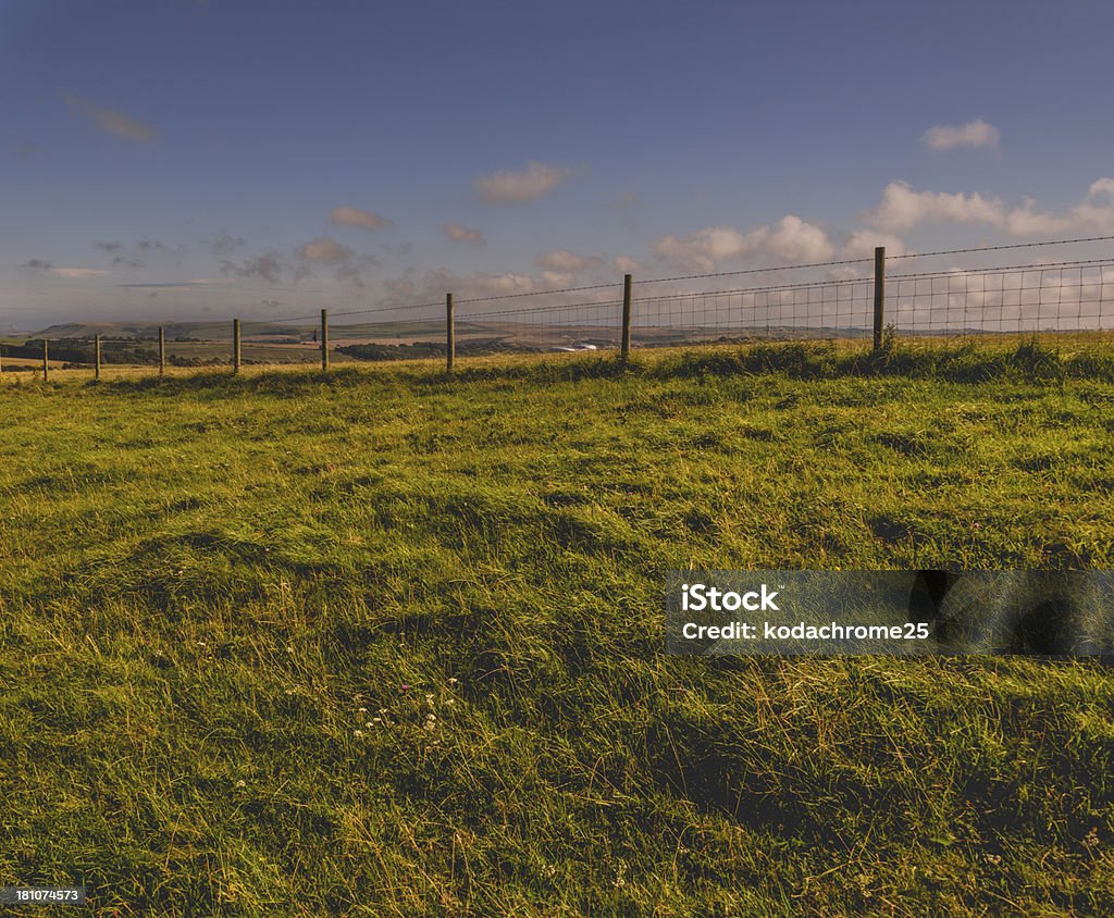 south downs - Foto stock royalty-free di Agricoltura