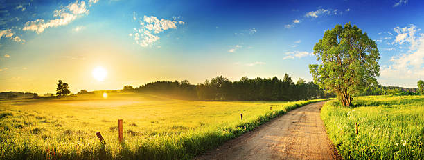 país de la mañana de camino a través del hermoso paisaje de niebla-colorida puesta de sol - carretera de campo fotografías e imágenes de stock