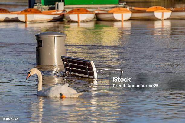 洪水 - イギリスのストックフォトや画像を多数ご用意 - イギリス, 洪水, イングランド