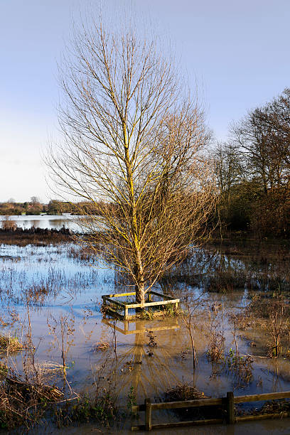 inondations - welford on avon photos et images de collection